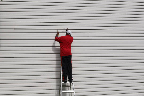 Trusted Hamilton, IL Siding Experts